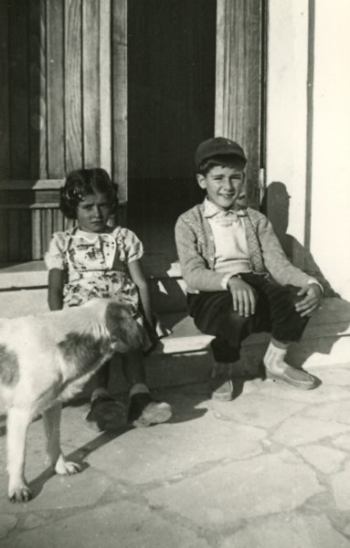Photograph