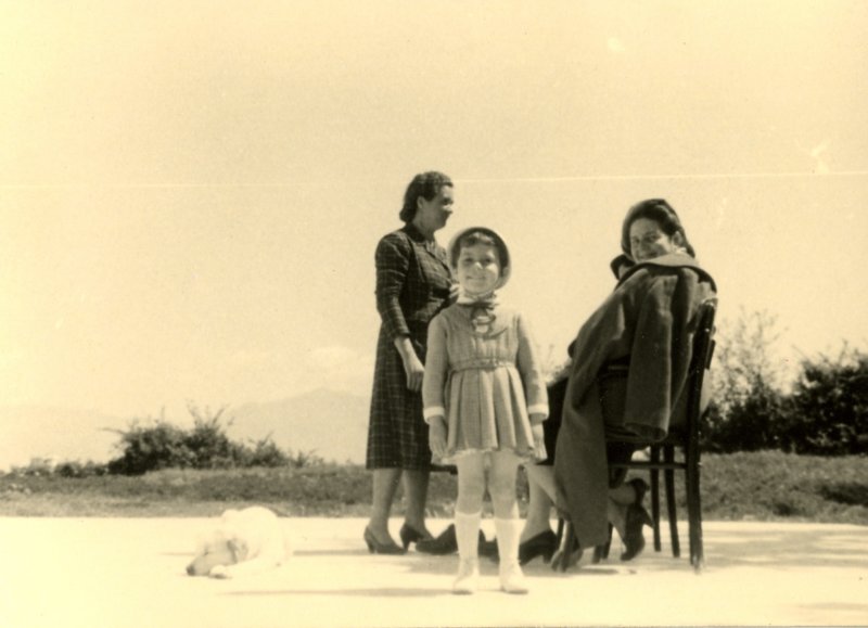 Photograph