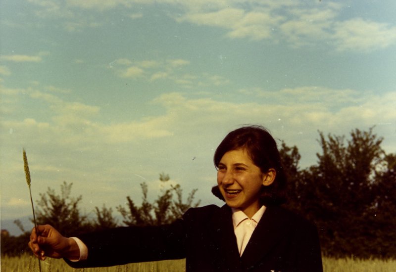 Photograph
