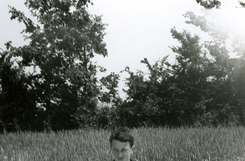 Photograph