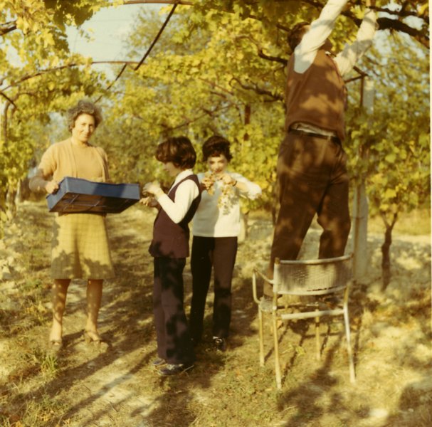 Photograph