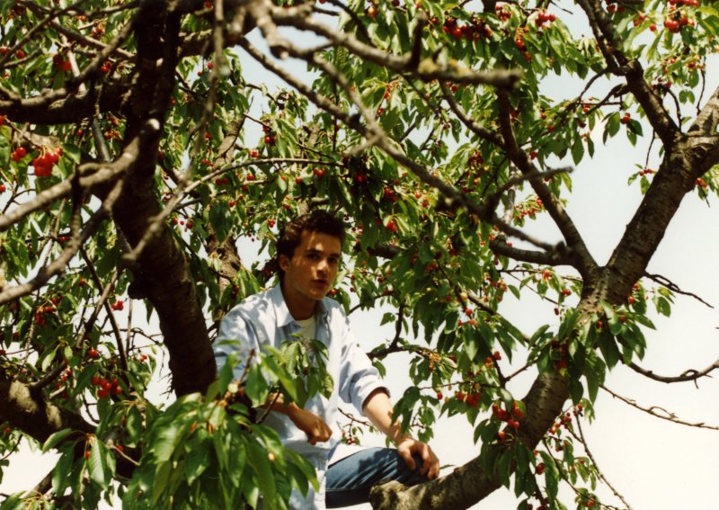 Photograph