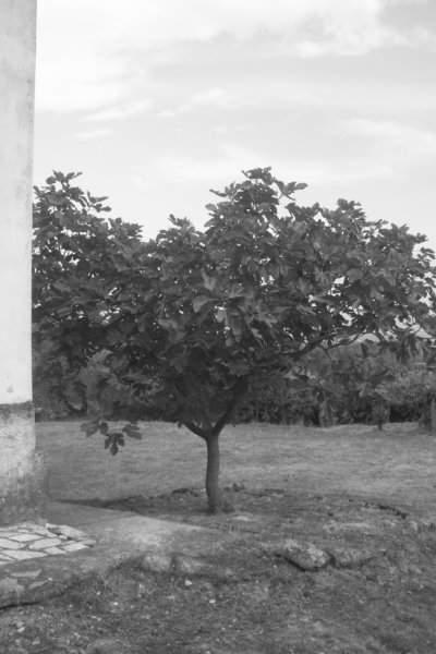 photo2.jpg