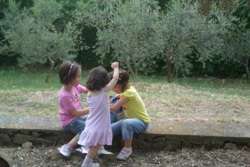 photo26.jpg