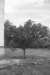 photo2_small.jpg