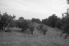 photo_small.jpg